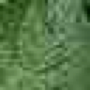 Bicubic upscaled plant leaf baseline