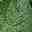 Low-resolution plant leaf input